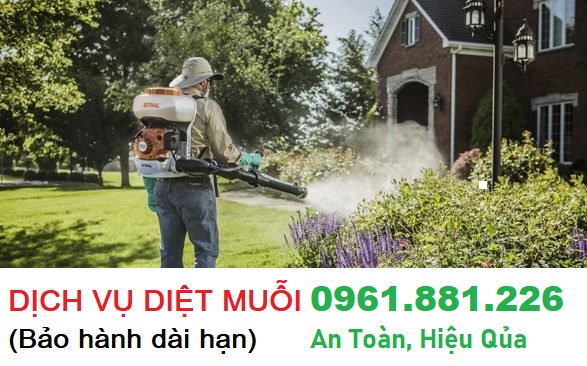 Dịch vụ phun muỗi